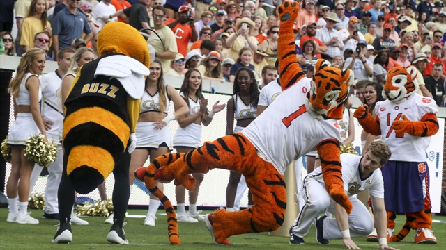 The Tiger