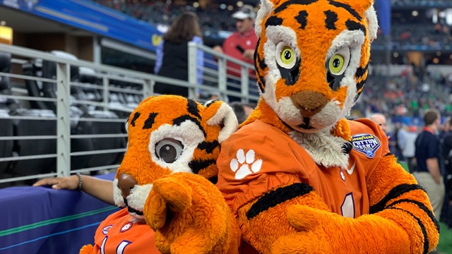 The Tiger
