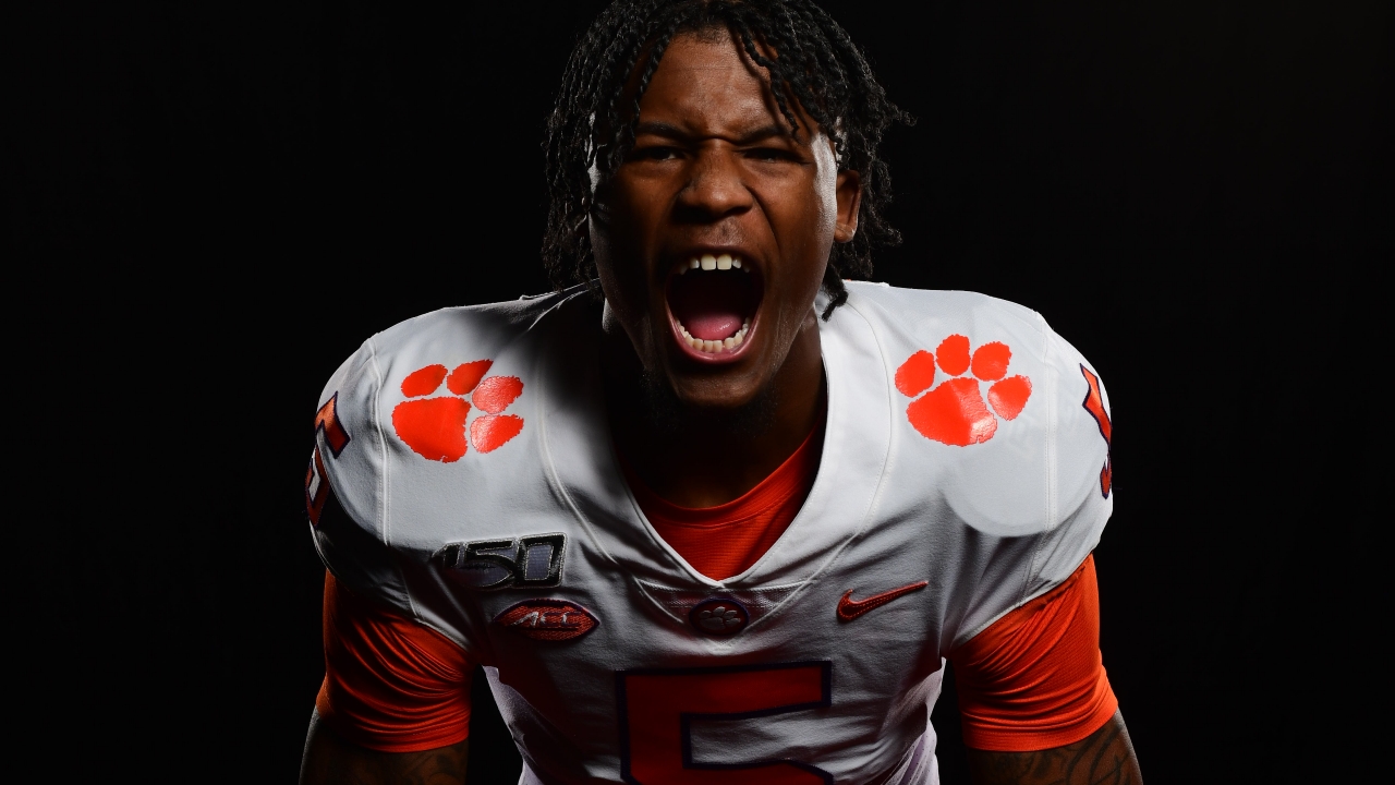 WATCH: Tee Higgins 2019 Season Highlights, Clemson WR