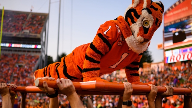 The Tiger