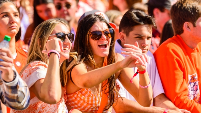 Clemson Fans