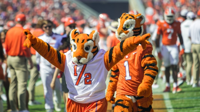 Tiger Cub, CLEMSON TIGER