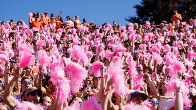 Fans, Clemson football, Clemson student section, Clemson Fans, All In Foundation, Breast Cancer Awareness, upload order