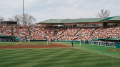 No. 11 Tigers Take Series With 7-2 Win Over Gamecocks