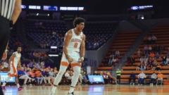 Tigers Finish Preseason with 84-70 Win Over Blue Hose